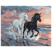 Картина по номерам BrushMe Дуэт ветров BS54025 50 x 40 см / Горизонтальная