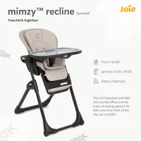 Scaun de masă Joie Mimzy Recline Speckled (H1013EASPK000) / 0 luni / Gray photo 12