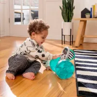 Jucărie interactivă Baby Einstein Chase & Tap Earl 16923 0.6+ / Blue photo 4