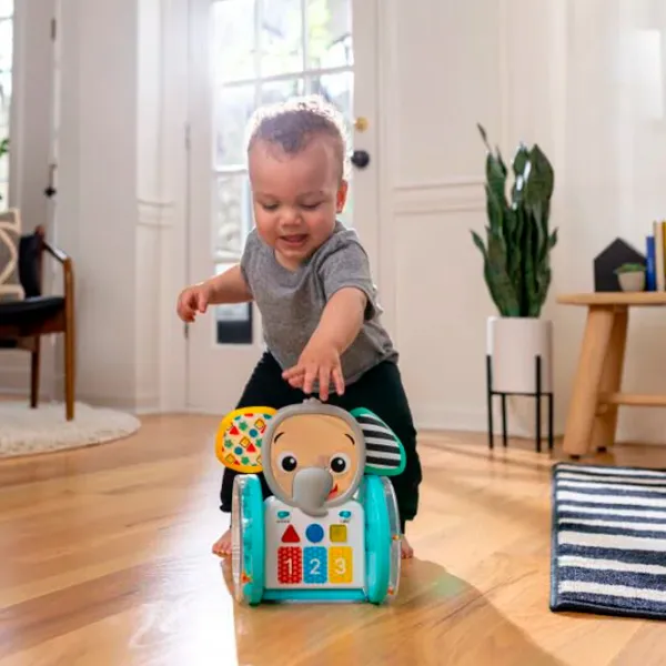 Интерактивная игрушка Baby Einstein Chase & Tap Earl 16923 0.6+ / Синий photo 5