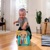 Jucărie interactivă Baby Einstein Chase & Tap Earl 16923 0.6+ / Blue photo 5