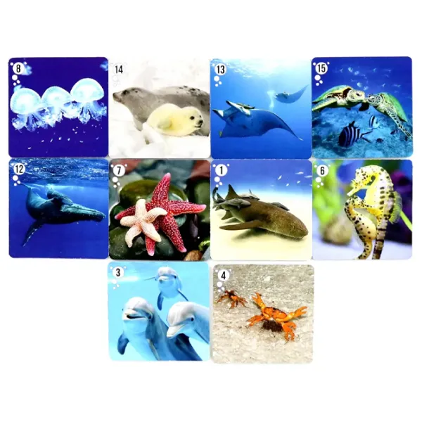 Joc educativ Fun Games Mi-Mi-Memo 3+/ Dezvoltare photo 2