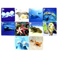 Joc educativ Fun Games Mi-Mi-Memo 3+/ Dezvoltare photo 2