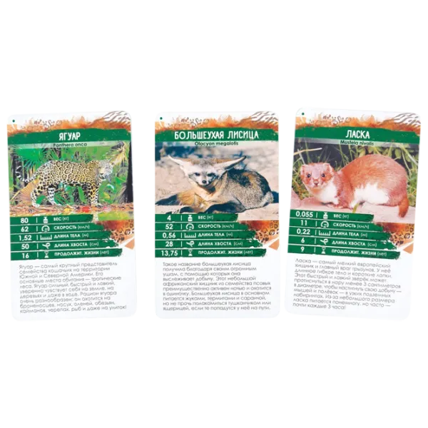 Joc educativ Lifestyle Secrets of the Planet Predators 7+/ Dezvoltare photo 2 Joc educativ Lifestyle Secrets of the Planet Predators 7+/ Dezvoltare photo 2