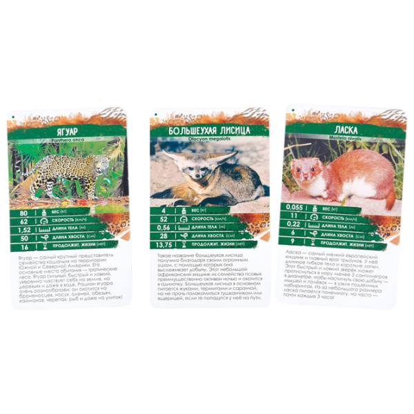 Joc educativ Lifestyle Secrets of the Planet Predators 7+/ Dezvoltare photo 2 Joc educativ Lifestyle Secrets of the Planet Predators 7+/ Dezvoltare photo 2