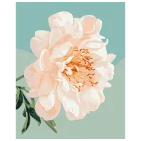 Pictură pe numere BrushMe Grația bujorului BS53996 50 x 40 cm / Verticală