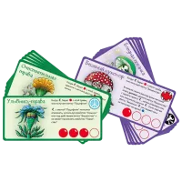 Joc de masă Right games Evolution 18+/ Strategie photo 3