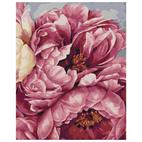 Pictură pe numere BrushMe Înflorirea bujorilor BS40543 50 x 40 cm / Verticală photo 1