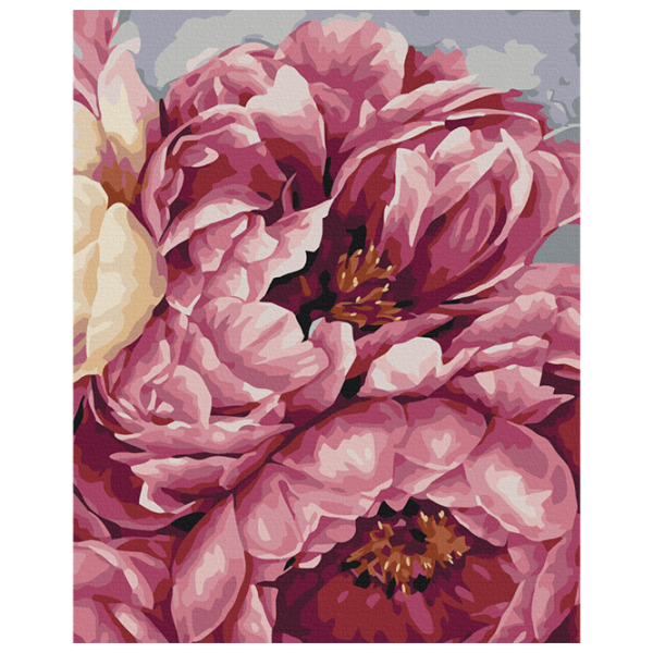 Pictură pe numere BrushMe Înflorirea bujorilor BS40543 50 x 40 cm / Verticală photo 1