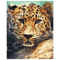 Картина по номерам BrushMe Портрет леопарда BS51736 50 x 40 см / Вертикальная