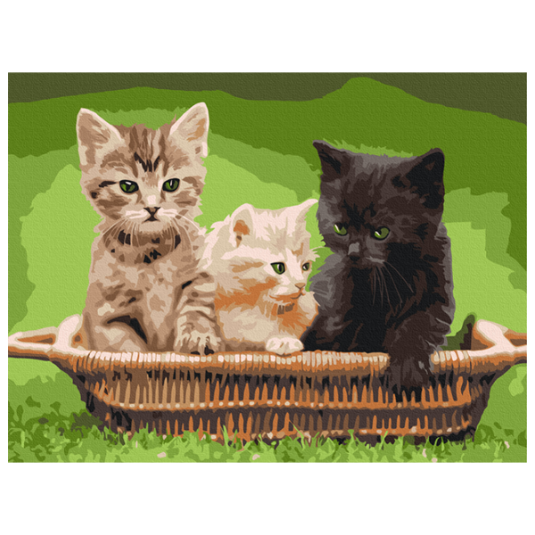 Pictură pe numere BrushMe Motănași în coș RBS52621 40 x 30 cm / Orizontală photo 1
