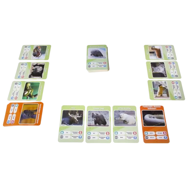 Joc de masă GaGa Games It's a Fact! Zoo 8+/ Dezvoltare photo 3