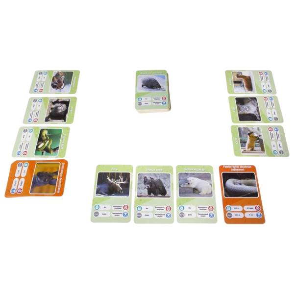 Joc de masă GaGa Games It's a Fact! Zoo 8+/ Dezvoltare photo 3