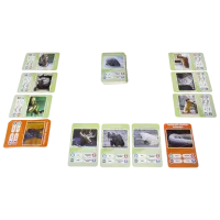 Настольная игра GaGa Games It's a Fact! Zoo 8+/ Развитие photo 3