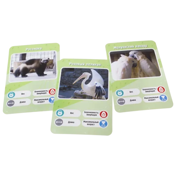 Joc de masă GaGa Games It's a Fact! Zoo 8+/ Dezvoltare photo 4