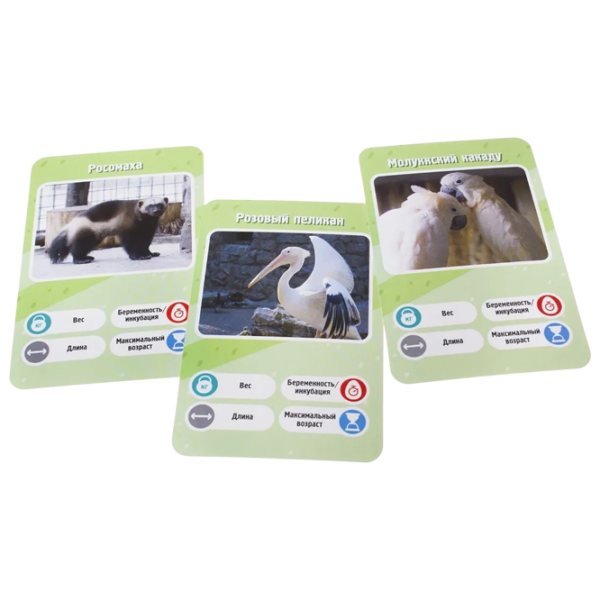 Joc de masă GaGa Games It's a Fact! Zoo 8+/ Dezvoltare photo 4