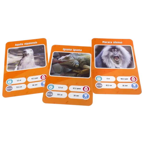 Joc de masă GaGa Games It's a Fact! Zoo 8+/ Dezvoltare photo 5