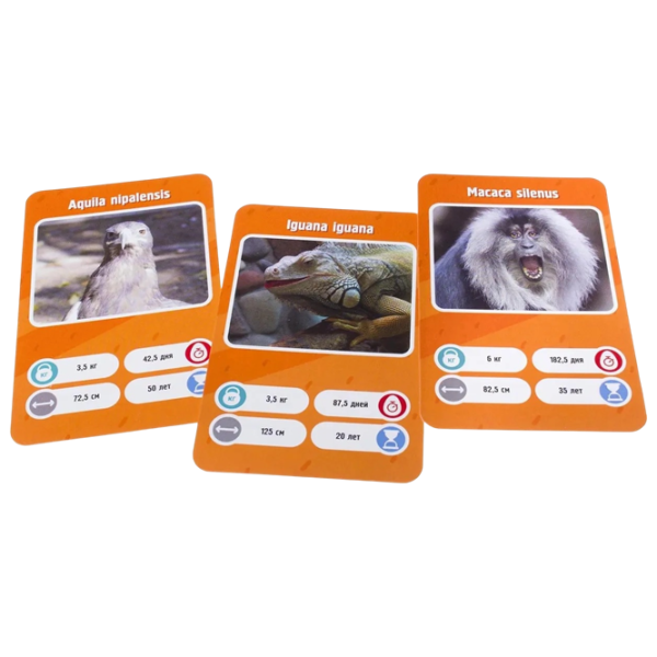 Joc de masă GaGa Games It's a Fact! Zoo 8+/ Dezvoltare photo 5