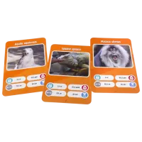 Настольная игра GaGa Games It's a Fact! Zoo 8+/ Развитие photo 5