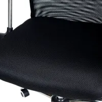 Fotoliu de birou FunFit Xenos Compact 2 Pânză/ Black photo 4