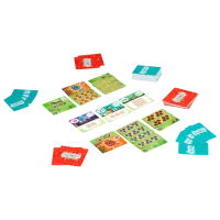 Настольная игра The Brainy Band Florarium 7+/ Стратегия photo 2
