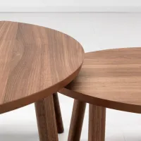 Măsuță de cafea Ikea Stockholm 5290312 Brown photo 3