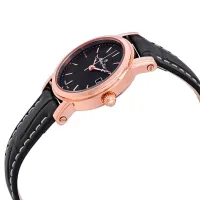 Ceas de mână pentru femei Mathey-Tissot D31186PN Cuarț / 28 mm photo 3