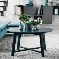 Măsuță de cafea Ikea Kragsta 5317664 Black photo 2