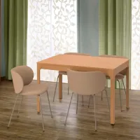 Обеденные стол со стульями Ikea Ekedalen/Krylbo/Tonerud Прямоугольная / ДСП / Wood photo 7