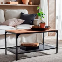 Журнальный столик Ikea Fjallbo 5290160 Черный photo 3