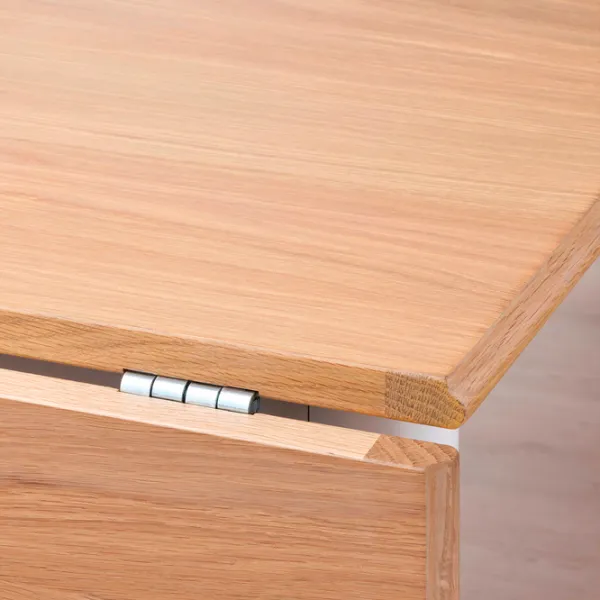 Set masă și scaune Ikea Danderyd/Skogsta Dreptunghiulară / PAL / Wood photo 5