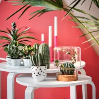 Măsuță de cafea Ikea Svalsta 5722494 White photo 5