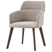 Кухонный стул Dogtas Gift Ткань/ Серый Wood