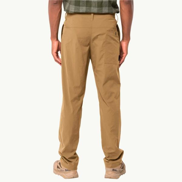 Брюки для мужчин Jack Wolfskin Desert Pants M Бежевый / Прямой photo 3