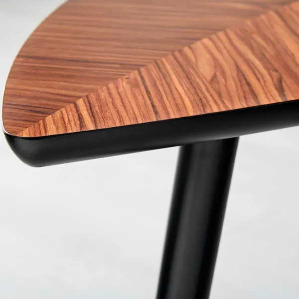 Măsuță de cafea Ikea Lovbacken 5290207 Brown photo 3