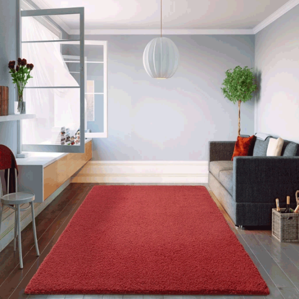 Ковер Covoare Ungheni Viti Красный / Полиэстер photo 2