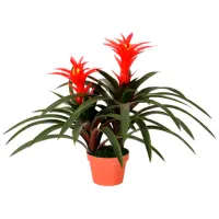 Искусственное растение OEM Guimania Зеленый / Высота (см) - 60