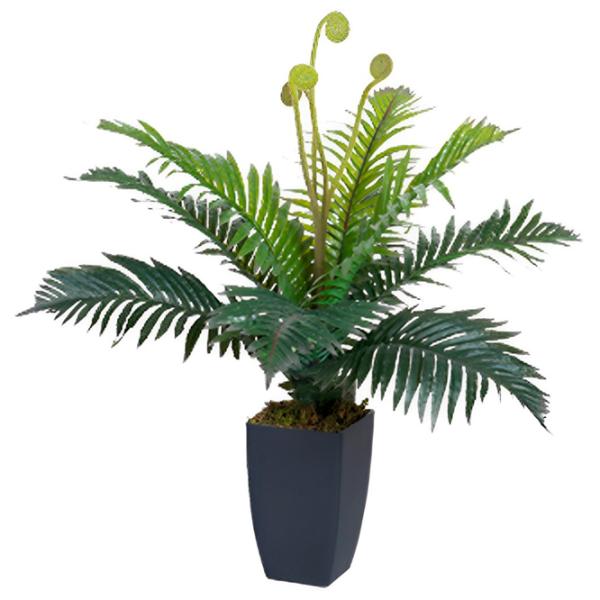 Plantă artificială OEM Palm Green / Înălțimea (cm) - 55 photo 1 Plantă artificială OEM Palm Green / Înălțimea (cm) - 55 photo 1