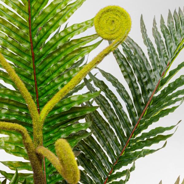Plantă artificială OEM Palm Green / Înălțimea (cm) - 55 photo 2 Plantă artificială OEM Palm Green / Înălțimea (cm) - 55 photo 2