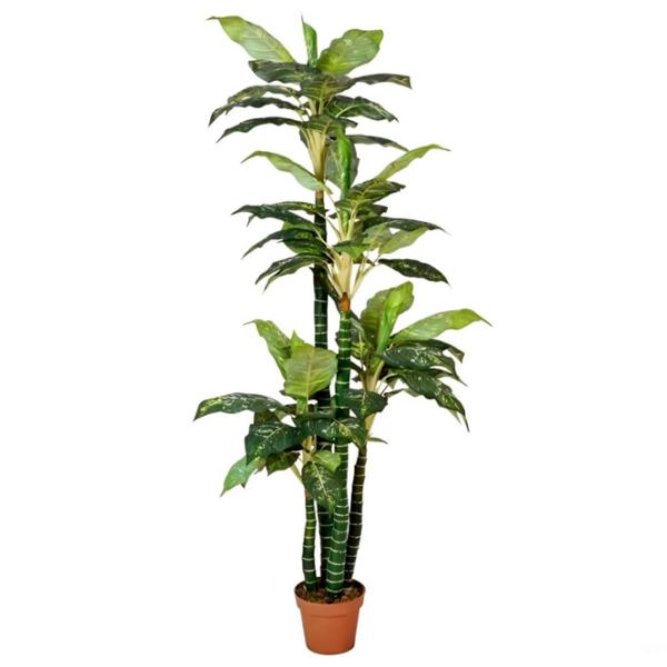 Plantă artificială OEM Dieffenbachia Green / Înălțimea (cm) -  photo 1