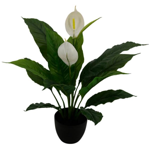 Plantă artificială OEM Spathiphyllum Patinii Green / Înălțimea (cm) - 47 photo 1 Plantă artificială OEM Spathiphyllum Patinii Green / Înălțimea (cm) - 47 photo 1