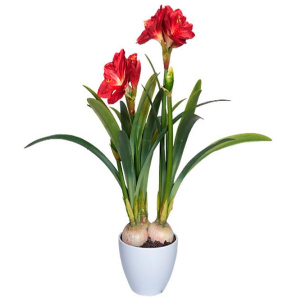 Plantă artificială OEM Amaryllis Green / Înălțimea (cm) - 76 photo 1
