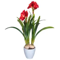 Plantă artificială OEM Amaryllis Green / Înălțimea (cm) - 76