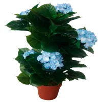 Искусственное растение OEM Amaryllis Зеленый / Высота (см) - 45