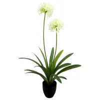 Искусственное растение OEM Narcissus Зеленый / Высота (см) - 108