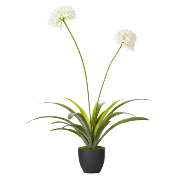 Plantă artificială OEM Narcissus Green / Înălțimea (cm) - 108 photo 2 Plantă artificială OEM Narcissus Green / Înălțimea (cm) - 108 photo 2