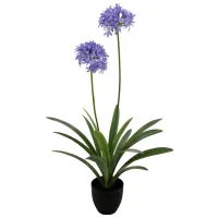 Искусственное растение OEM Narcissus Зеленый / Высота (см) - 108