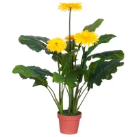 Plantă artificială OEM Gerbera Jamesoni Green / Înălțimea (cm) - 70
