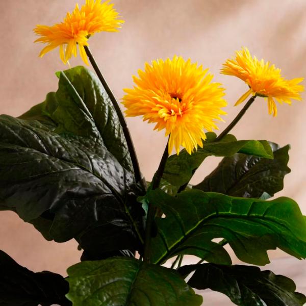 Plantă artificială OEM Gerbera Jamesoni Green / Înălțimea (cm) - 70 photo 2
