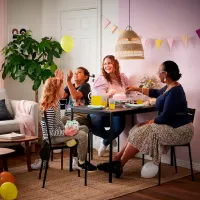 Кухонный стул Ikea Sandsberg Дерево/ Черный Wood photo 4